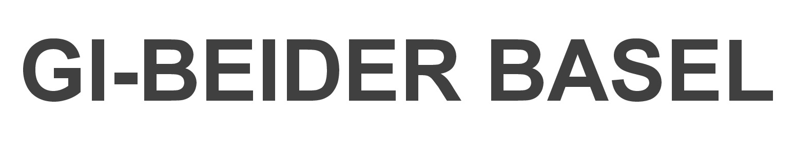 GI-beider Basel – Vereinigung und Netzwerk Gemeinnützige Institutionen Logo