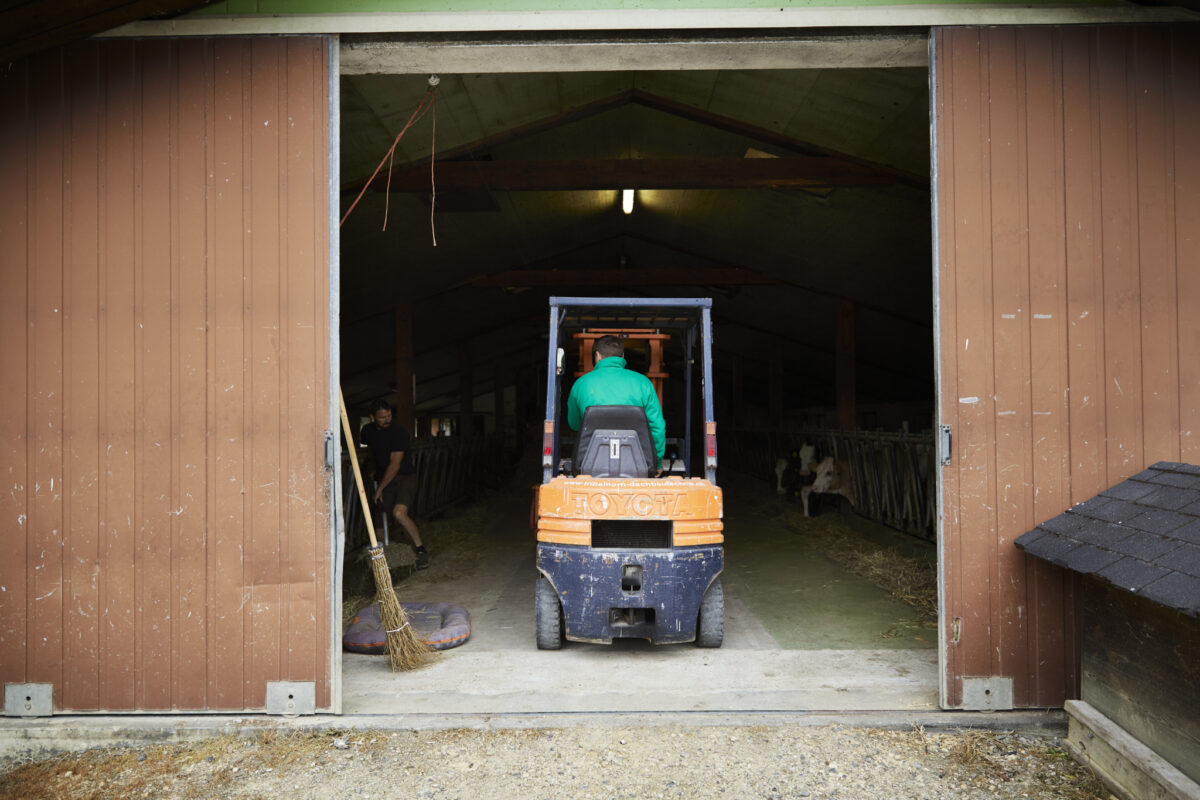 Ein Mann fährt einen Gabelstapler aus einem Stall.