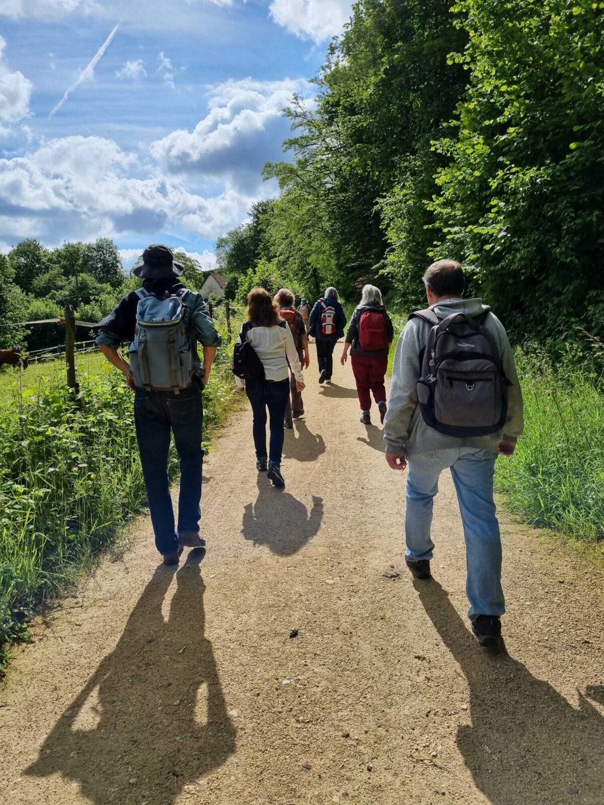 Eine Gruppe von Menschen wandert auf einem sonnigen Weg durch einen grünen Wald.
